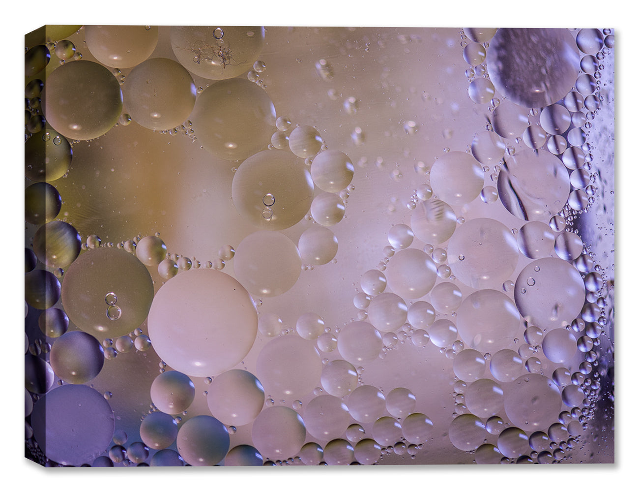 Bubbles No. 34 - Latex Ink on Canvas - Abstract Art