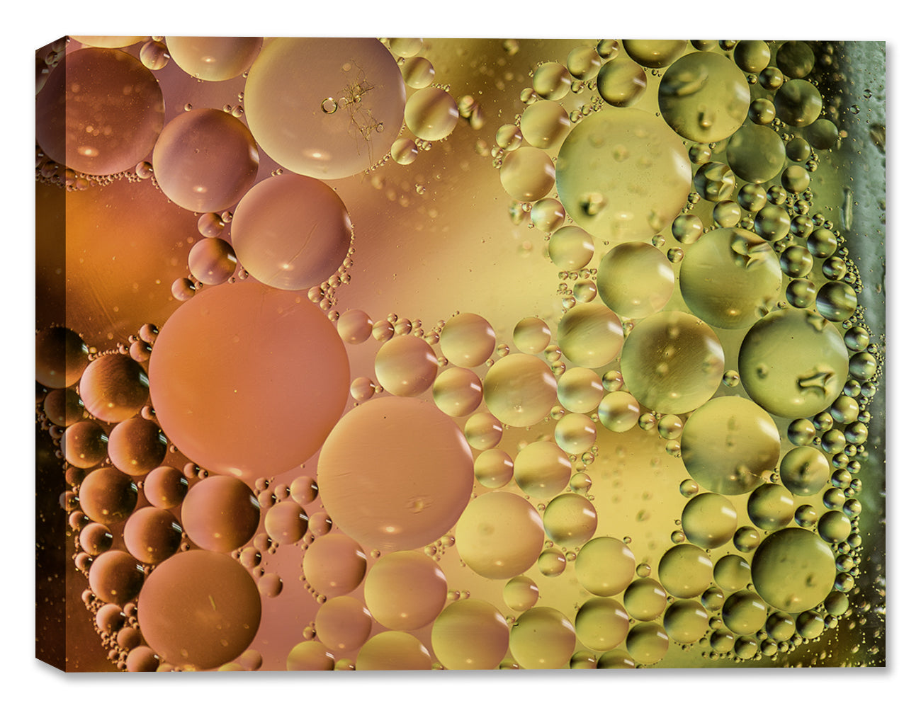 Bubbles No. 39 - Latex in on Canvas - Macro Photography