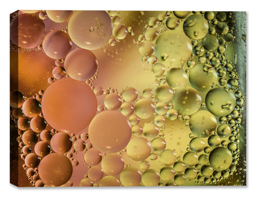 Bubbles No. 39 - Latex Ink on Canvas - Abstract Art