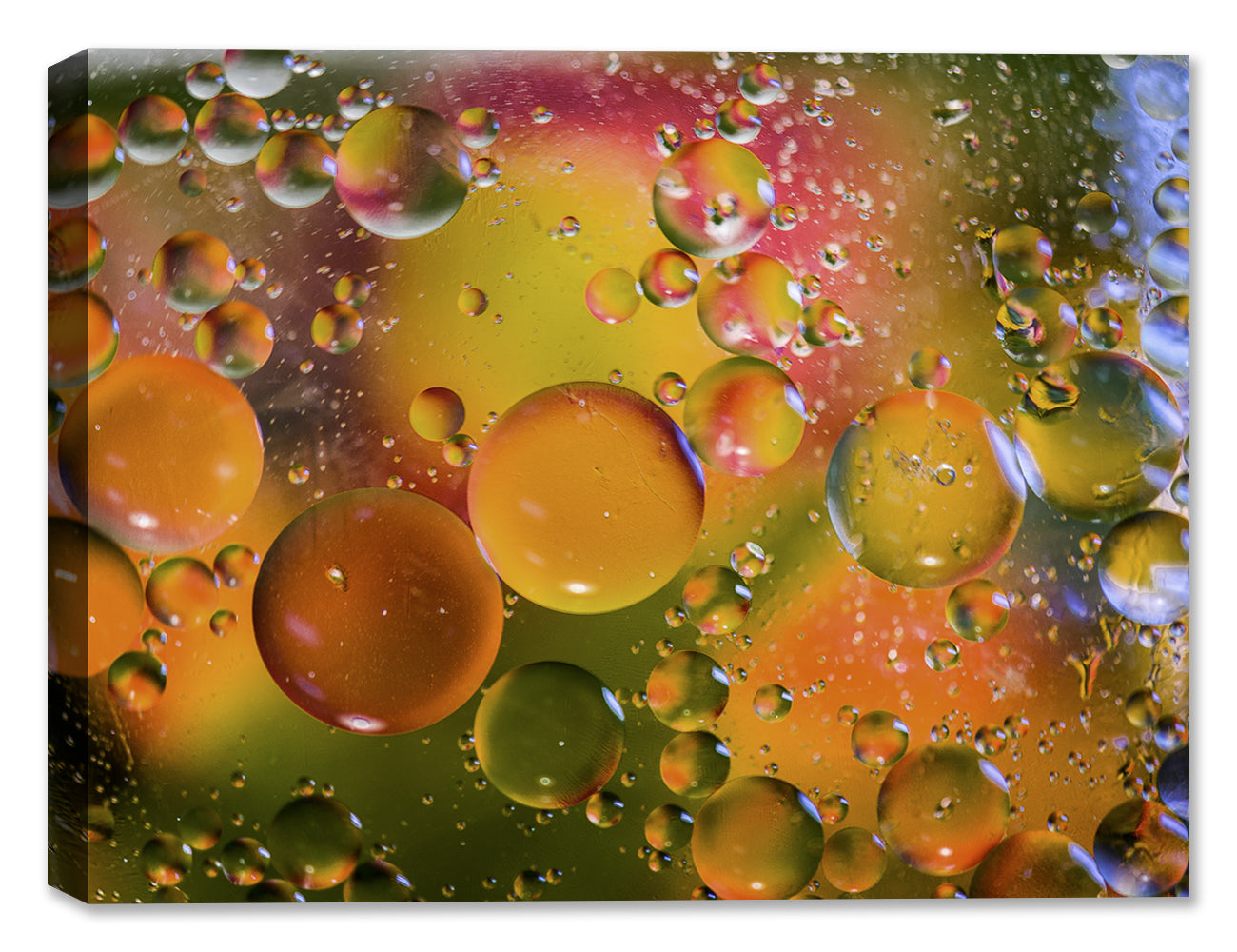 Bubbles No. 42 - Latex on Canvas - Abstract Art