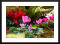 Spring Garden Flowers - Fine Art Photography - Framed and Matted