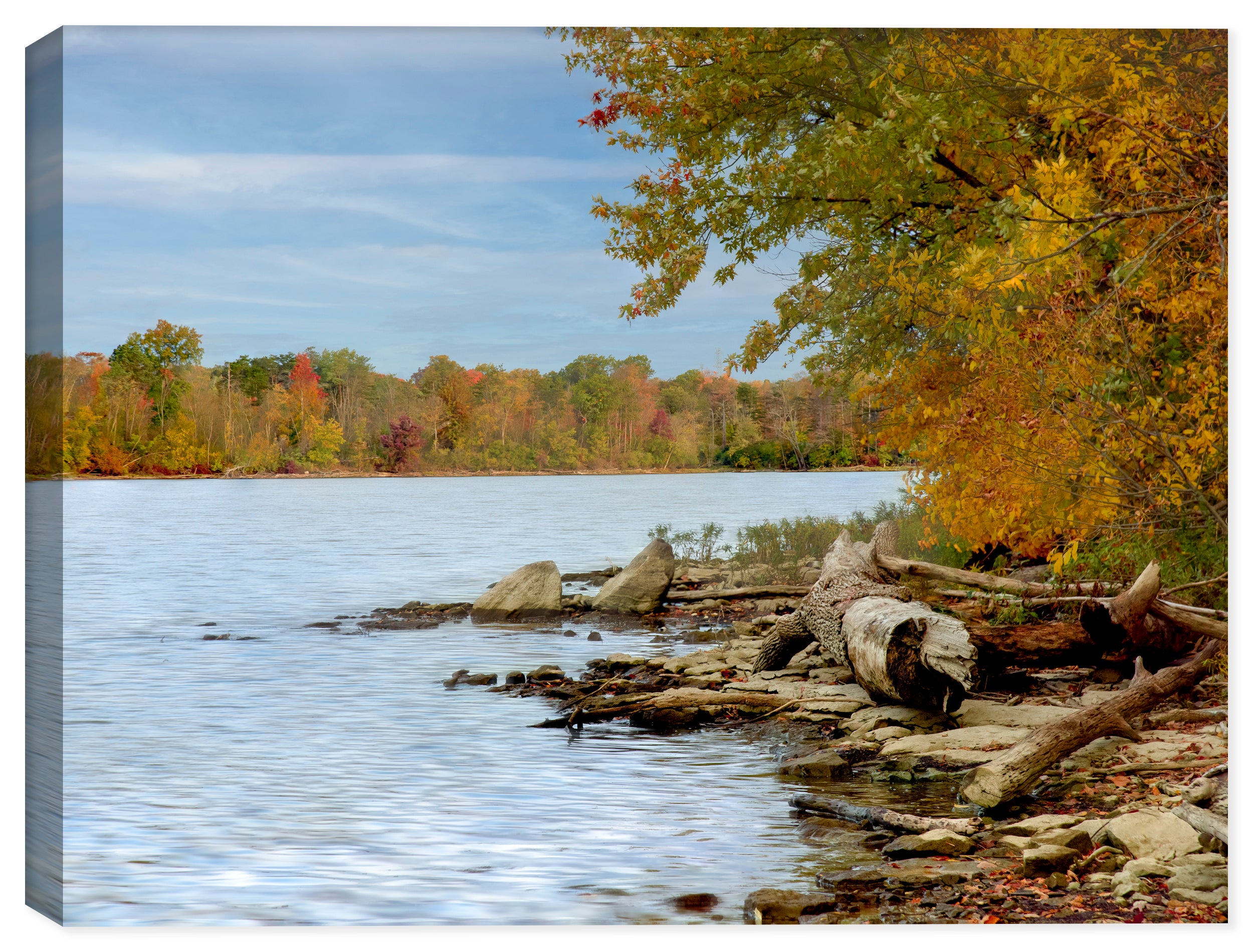 Photograph of bank on the rivers with brilliant fall colors printed on a canvas wrap.