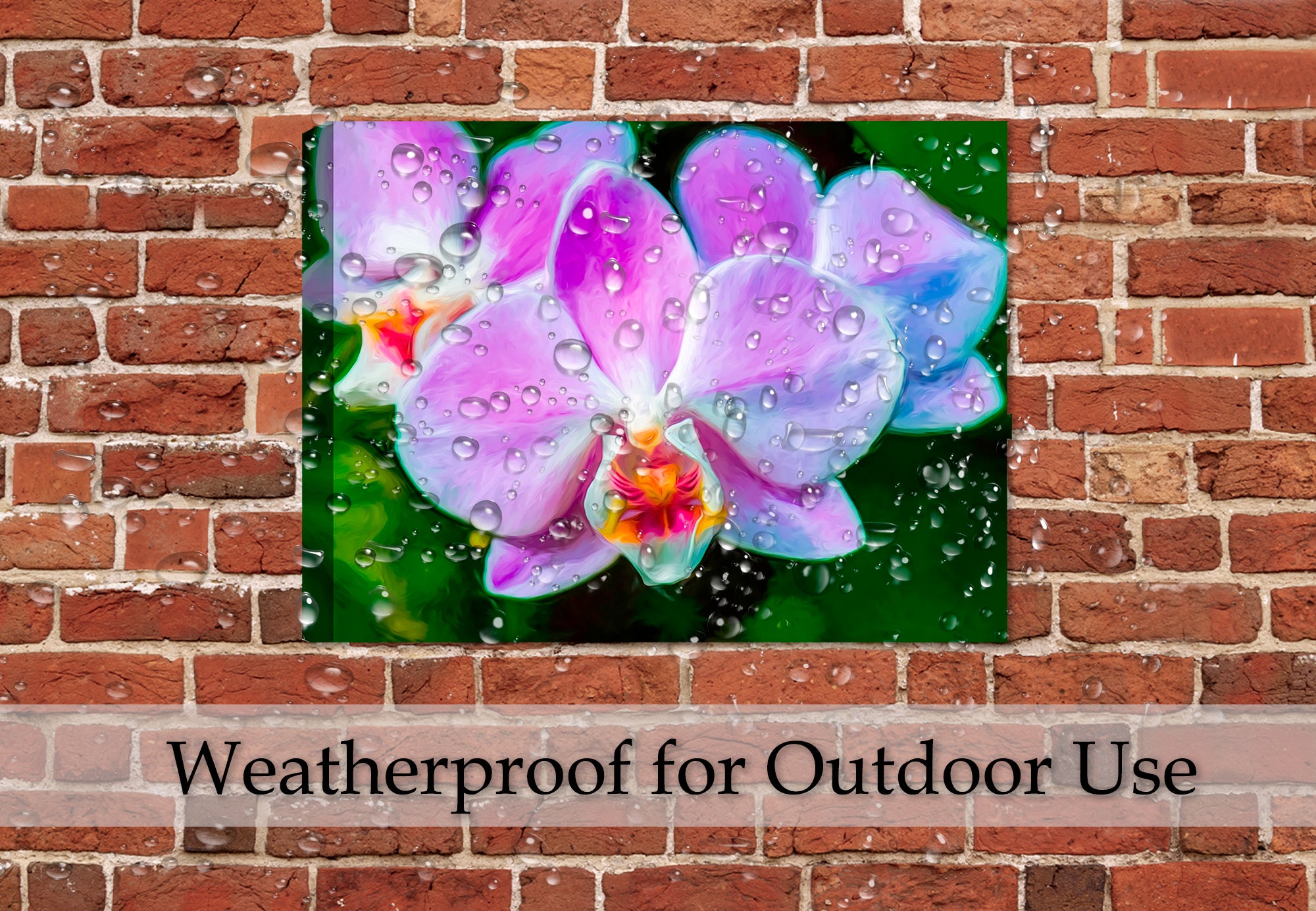 Soft Lavender & Cream Orchid   - Ink on Fine Art Canvas - Waterproof Canvas  - Hung Outdoor on Brick Patio Wall