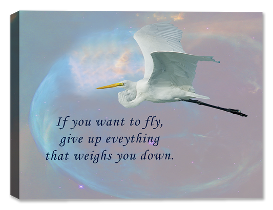 If you want to Fly - Inspirational Canvas Art