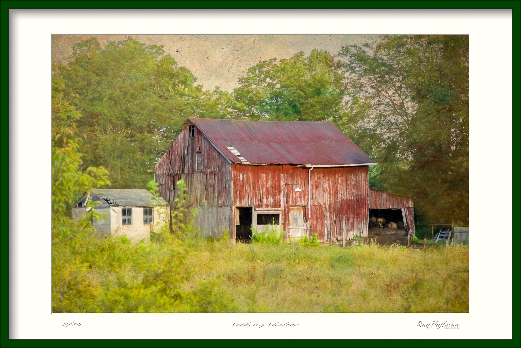 Seeking Shelter Photograph Photograph of a barn - Framed fine Art