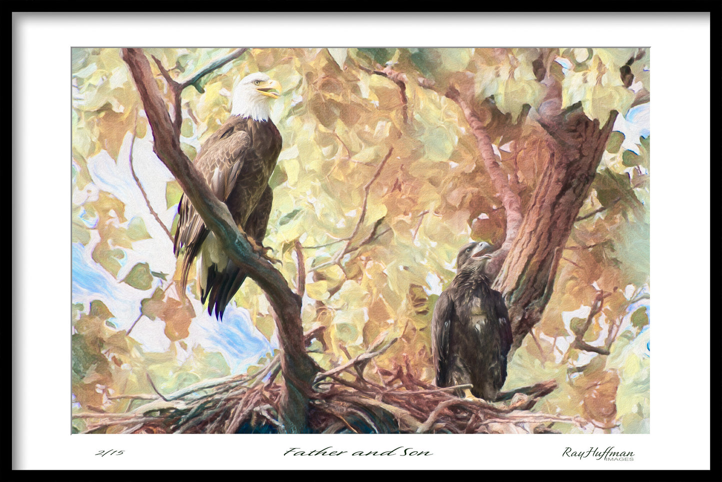 Father & Son Eagles - Painting on Canvas