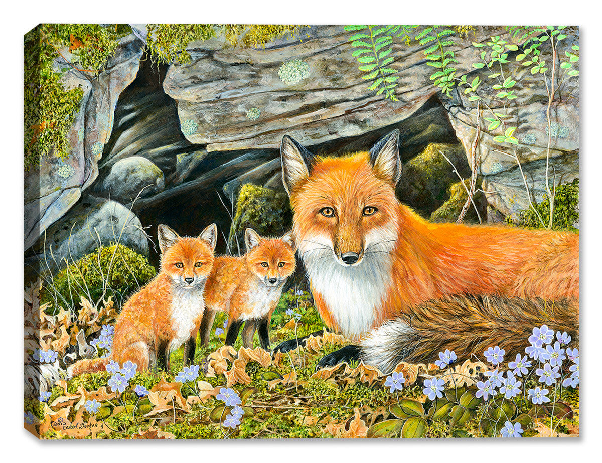 Red Fox Family by Carol Decker - Canvas Art Plus
