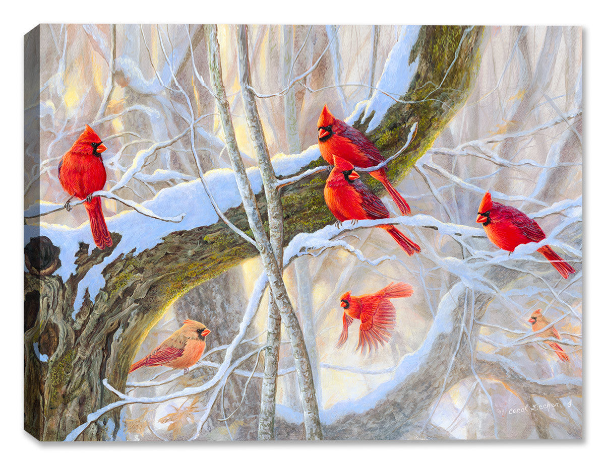 Red Letter Day - Cardinals - Canvas Art Plus