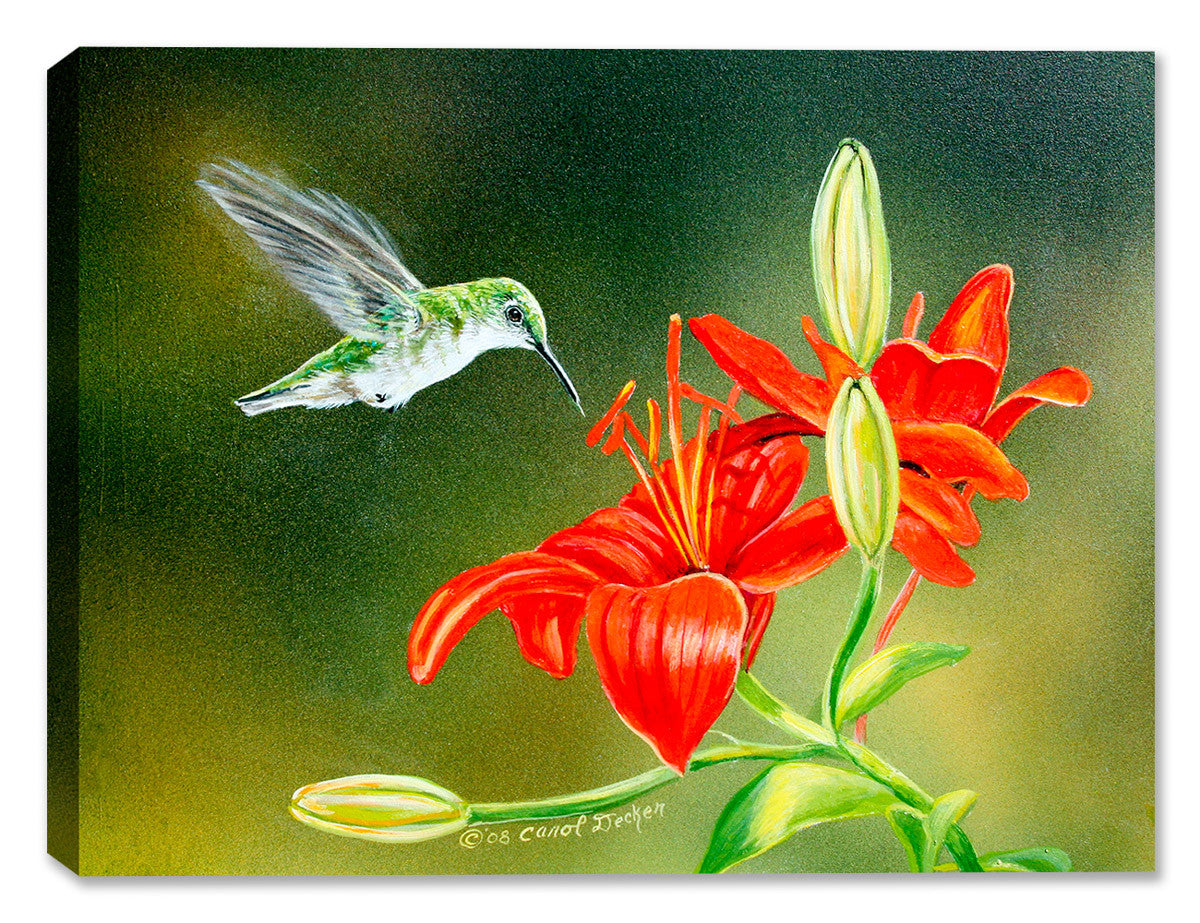 Painting of Hummingbird hovering over a d Lily - Printed on Waterproof Canvas for Outdoor Use
