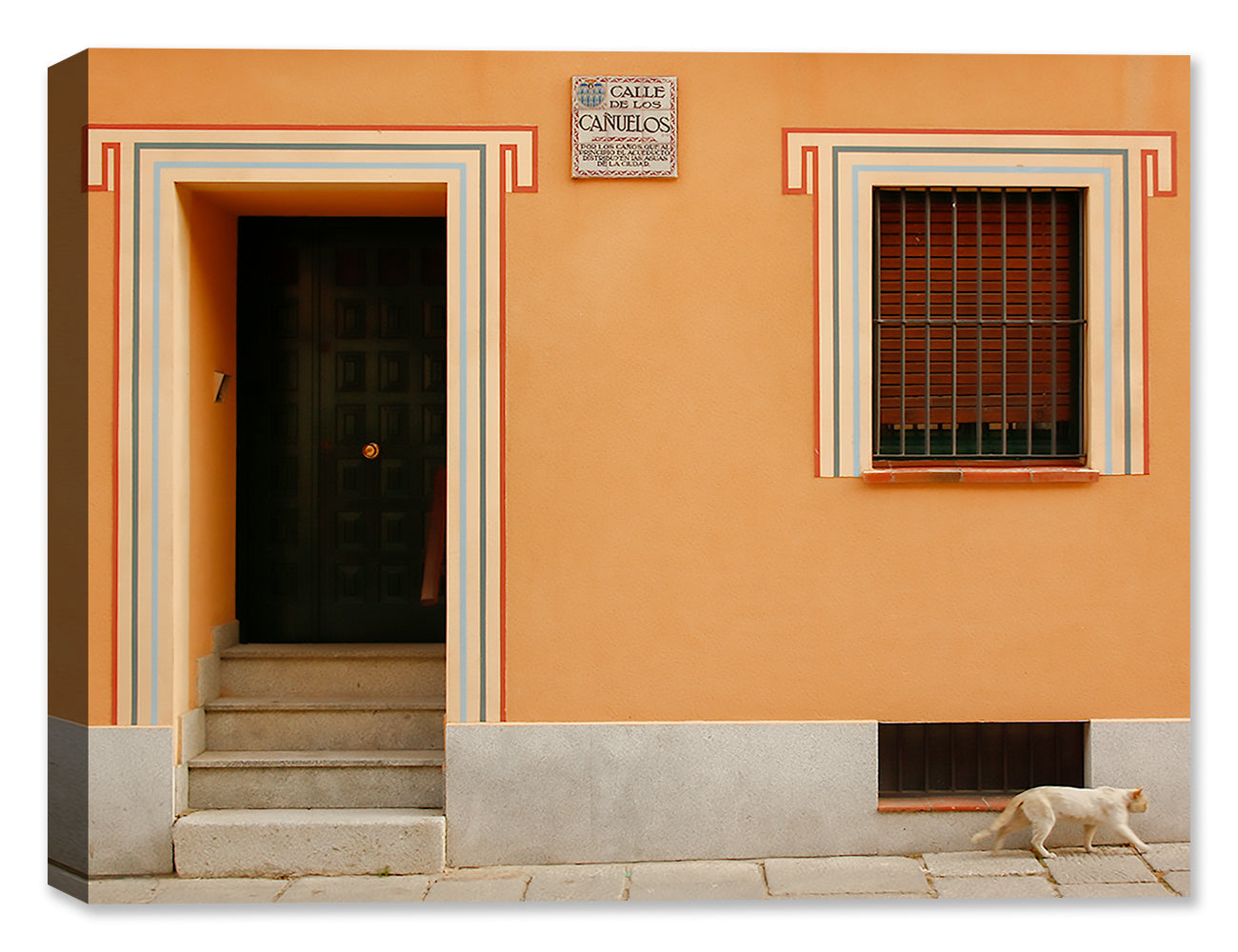 Image of a Cat walking in front of a Home - Printed on Canvas