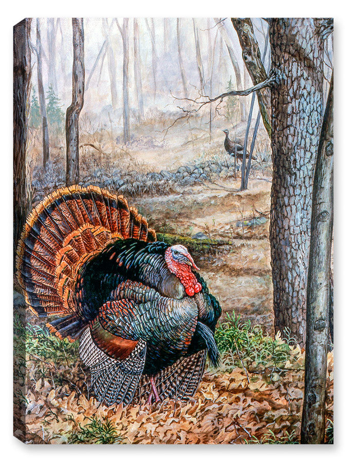 Spring Rendezvous Turkey - Painting printed on Canvas