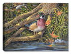 Streamside - a painting  by Carol Decker of a Wood Duck, Butterflies, dragonflies, and wild flowers. Printed on Canvas.
