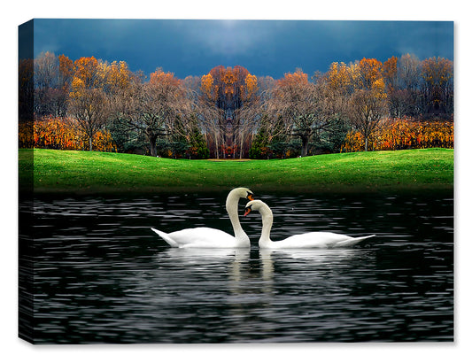 Image of two swans on a lake.  Printed on Canvas.