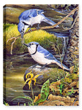 Image of Tender Moments - Bluejays -Printed on Canvas