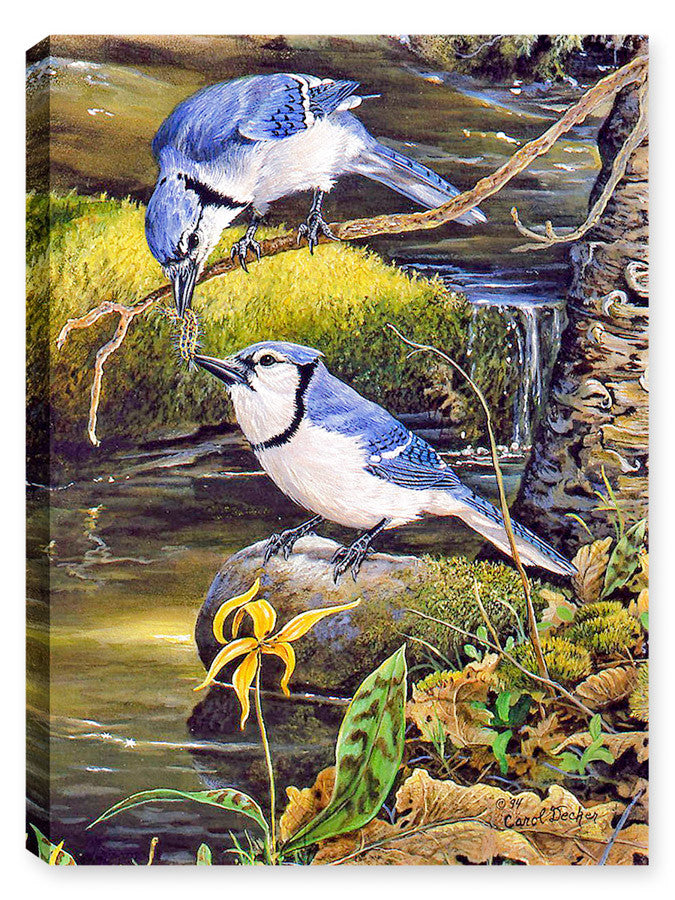 Image of Tender Moments - Bluejays -Printed on Canvas