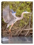 Blue Heron Landing in the Water - Painting on Canvas