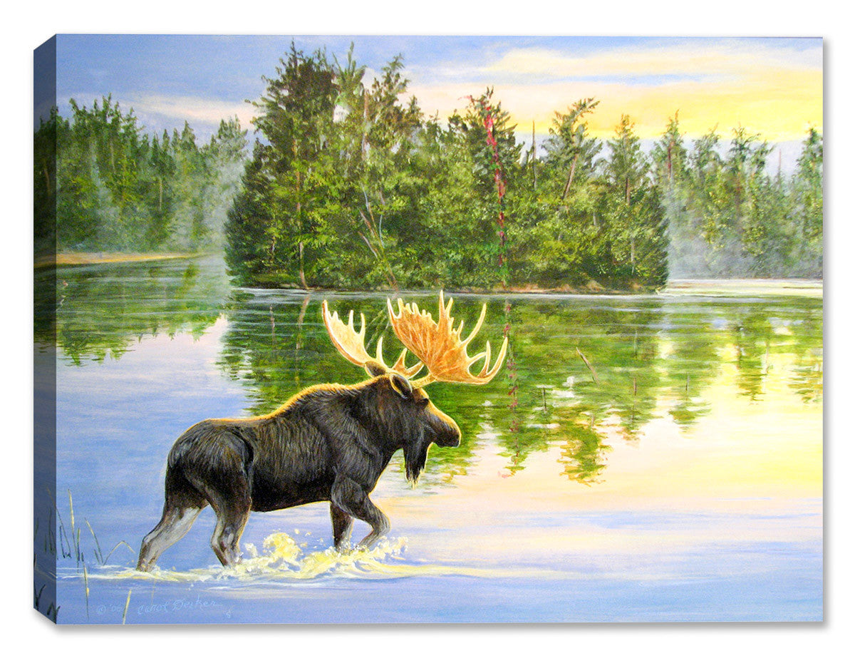 Wilderness Lake - Moose Painting - Canvas Art Plus