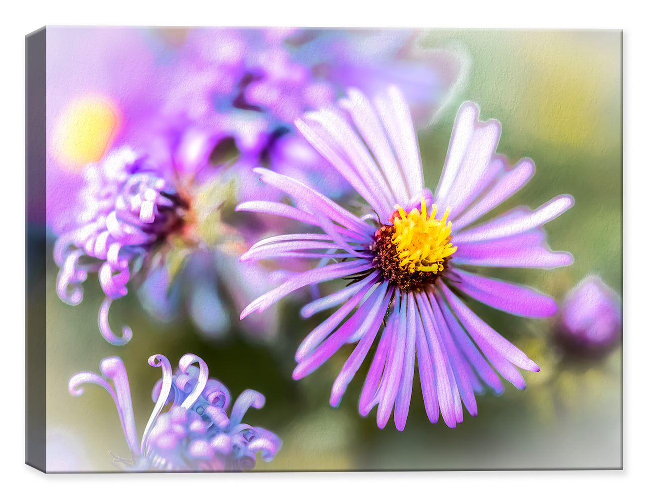 Wildflower - Pastels  Image printed on Canvas