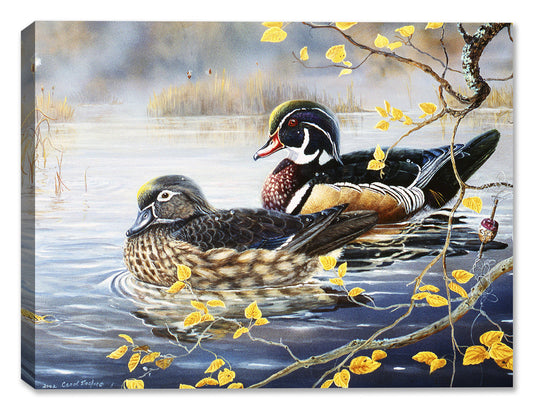 Wood Duck and Bobber by Carol Decker - Printed on Waterproof Canvas