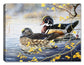 Wood Duck and Bobber by Carol Decker - Canvas Art Plus
