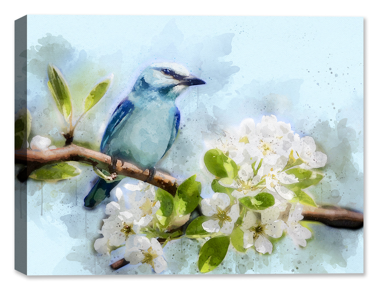 Blue Bird and Dogwood - Canvas Art