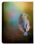 painting of a bluebird printed on a canvas wrap print