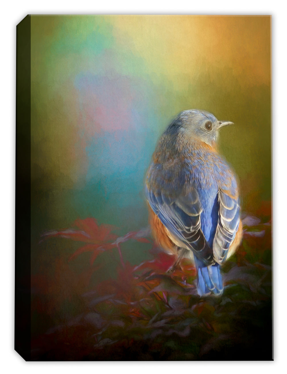 painting of a bluebird printed on a canvas wrap print