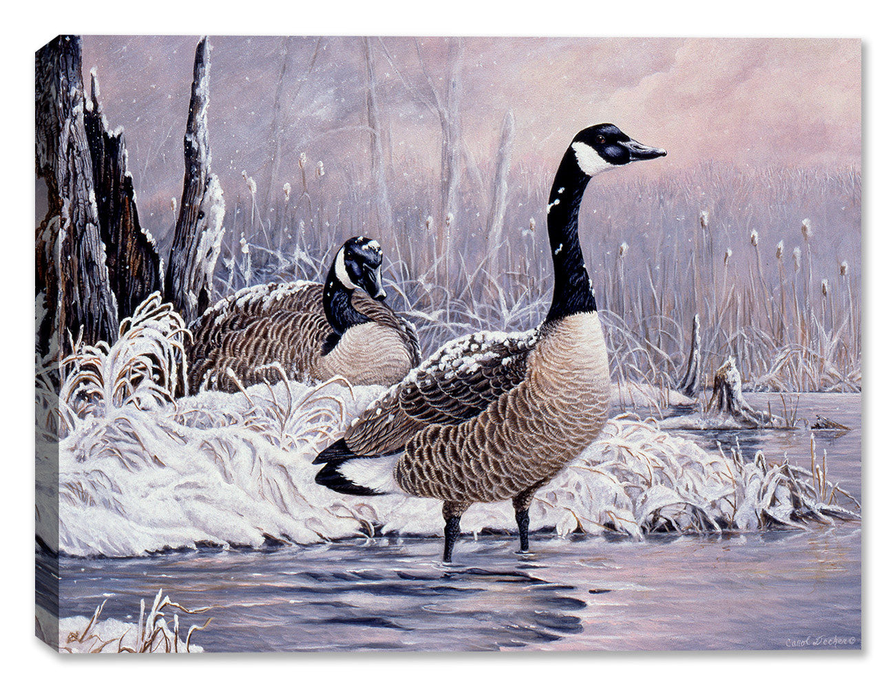 Cancelled Flight - Canadian Geese - by Carol Decker - Canvas Art Plus
