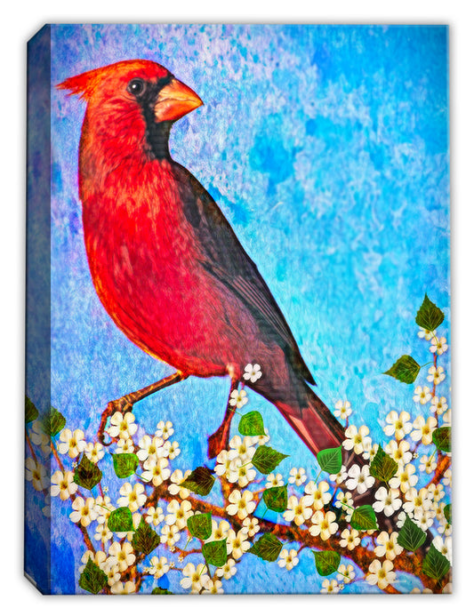 Cardinal on Dogwood Branch - Painting