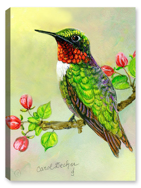 Hummingbird and Apple Tree - Canvas Art Plus