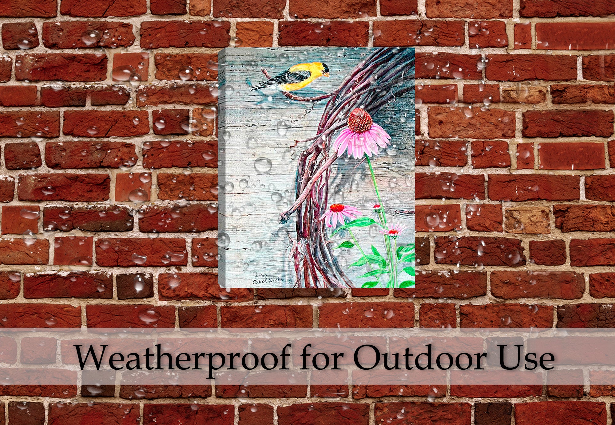 American Goldfinch on Vine -  on Outdoor Patio Wall - Waterproof Canvas