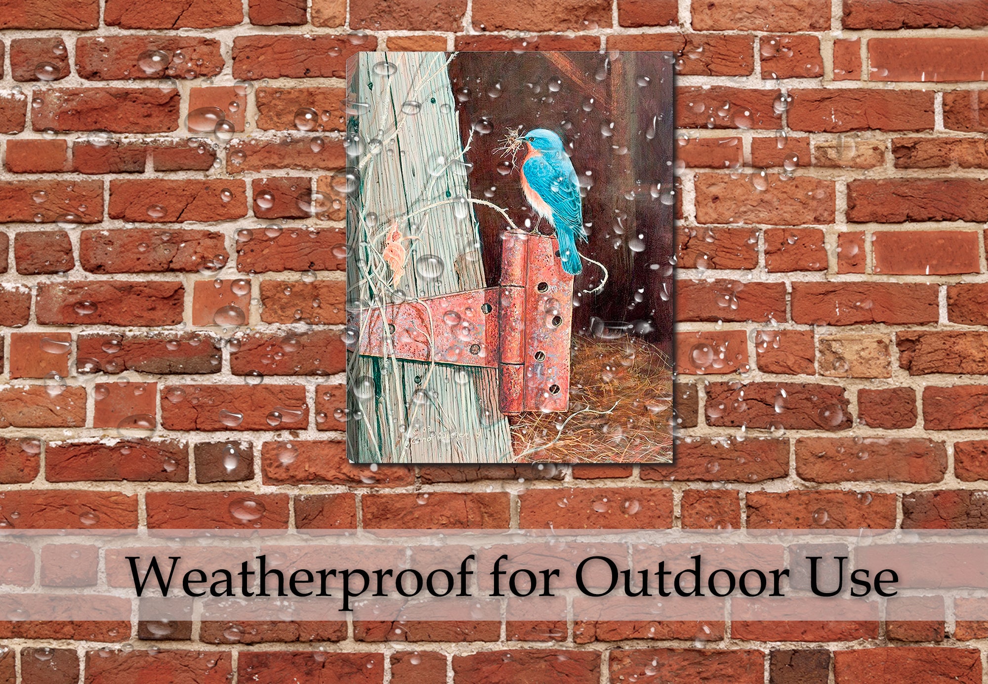 Painting of Bluebird on  a family farm - 
 printed on a canvas wraps hanging on a brick wall on the patio in the rain.