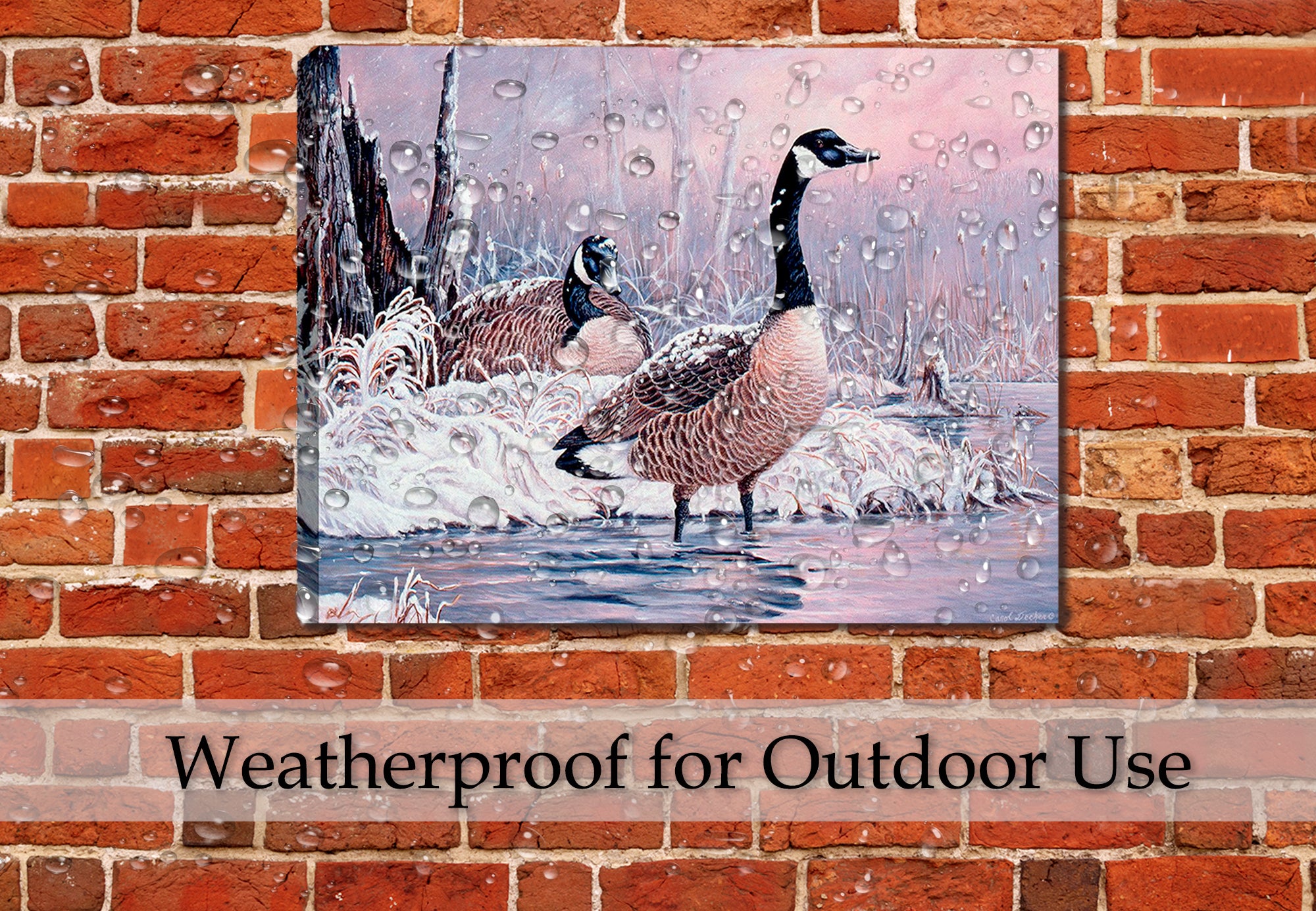 Canada Goose Painting on Canvas hung of a Outdoor Brick Patio Wall Living Room Wall - Waterproofed.