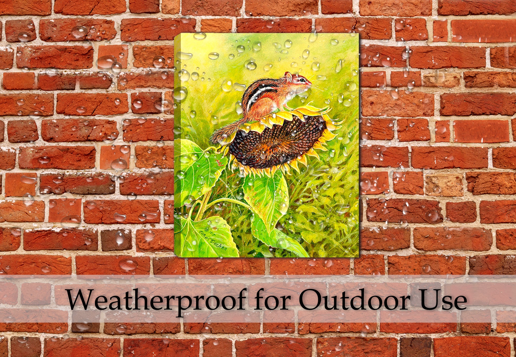 Chipmunk on Sunflower Painting on Canvas - Hung on  on Outdoor Brick Patio Wall - Waterproof