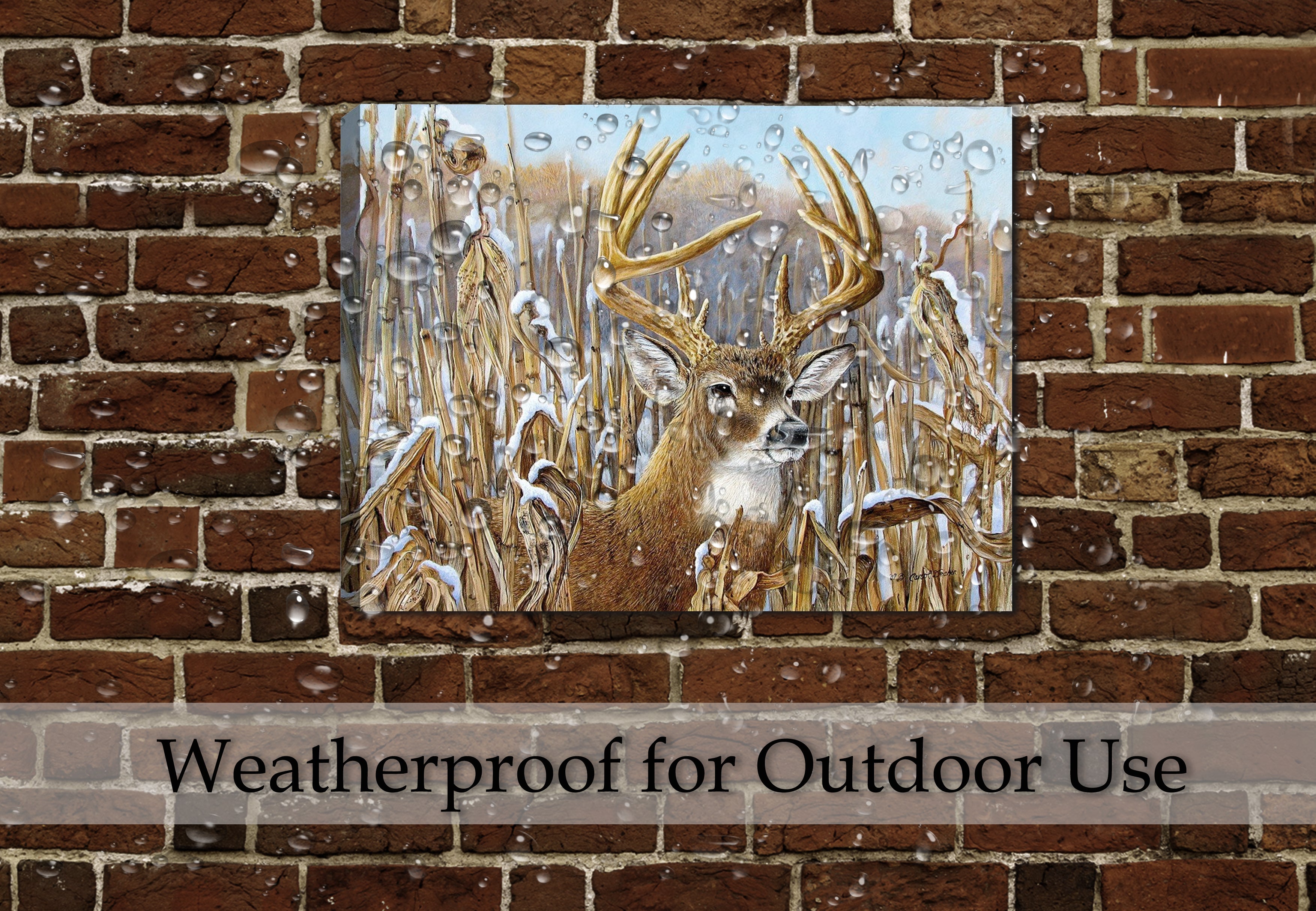 Painting of a Buck Deer on Canvas - Hanging on Patio Outdoor Wall - Waterproof Canvas