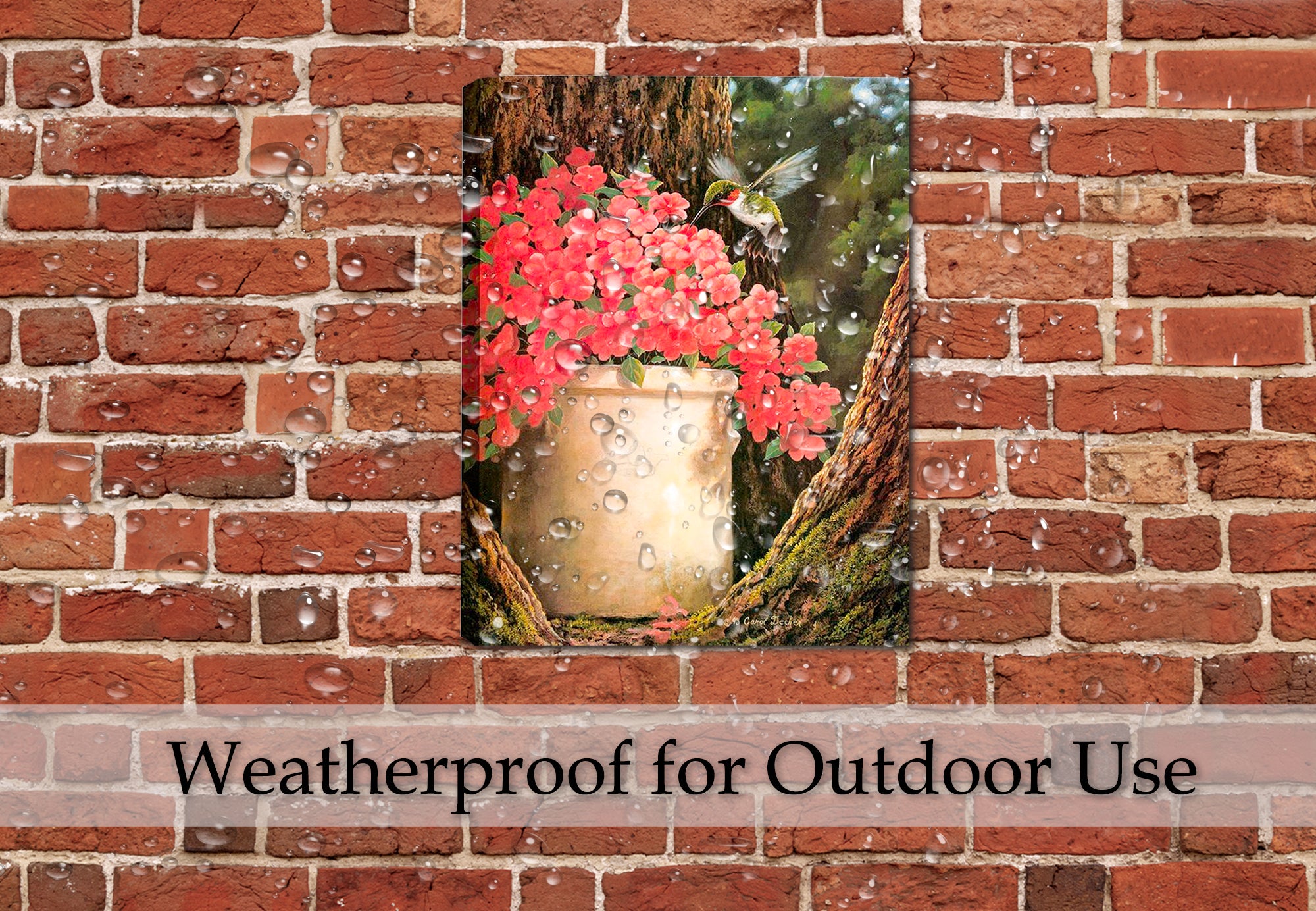 Hummingbird and Flowers -Painting printed on  Canvas - Hanging on Outdoor Patio Wall in the pouring Rain.  Waterproof.