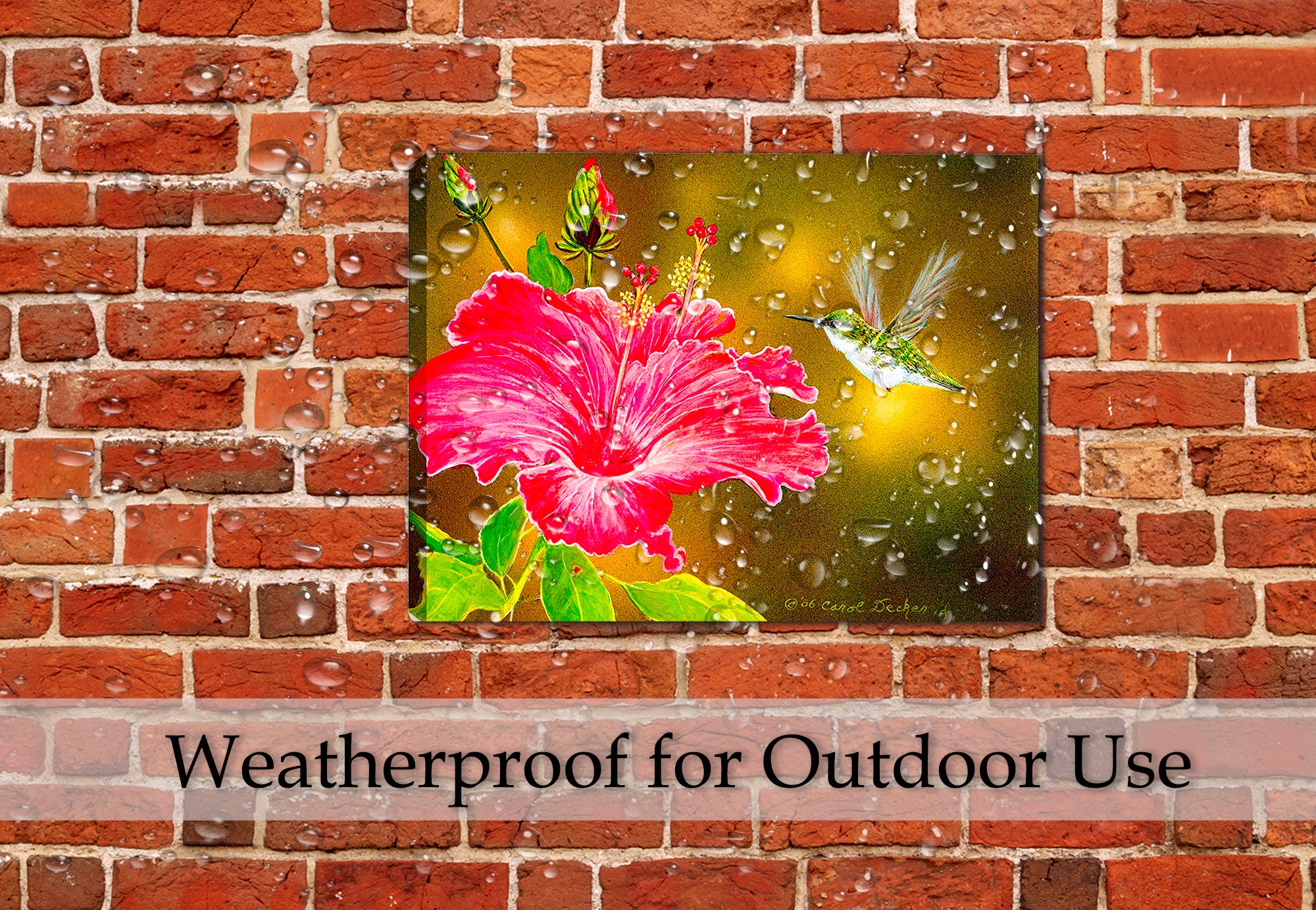 Hummingbird & Hibiscus - Painting printed on Canvas - Hanging on Patio Brick Wall during a pouring rain.  Waterproof