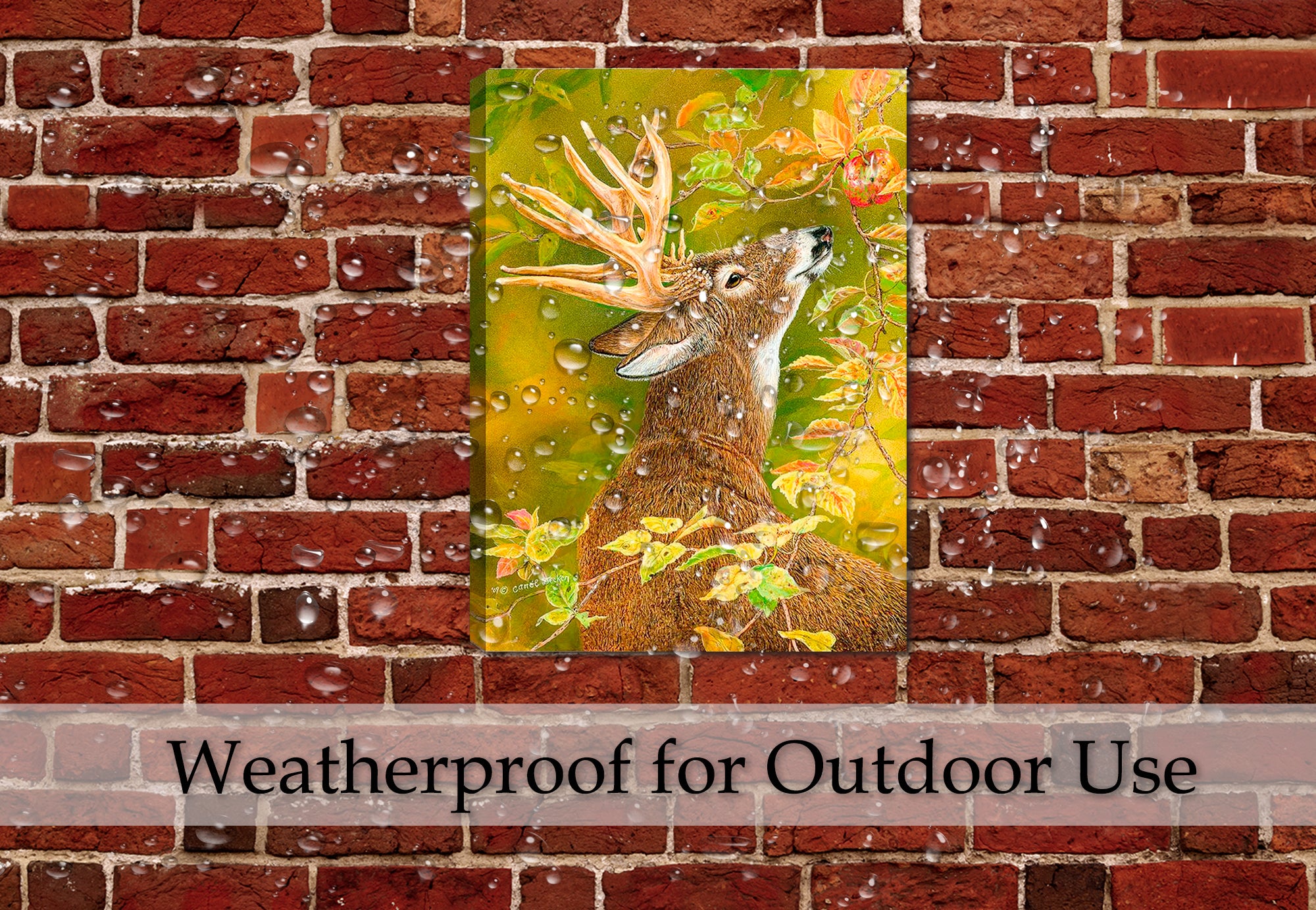 Painting of a Deer reaching for an Apple printed on Canvas - Hung on  an Outdoor Patio Wall - Waterproof Canvas Print