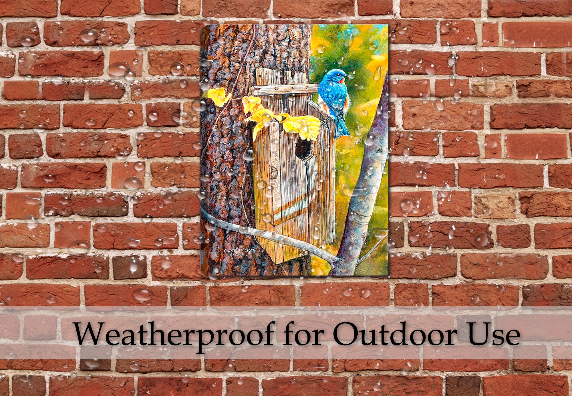 Painting of a Bluebird perched on a birdhouse mounted to a tree with fall colors.  Printed on Waterproof Canvas. Hanging on Brick Patio  Wall in the rain - waterproofed print.
