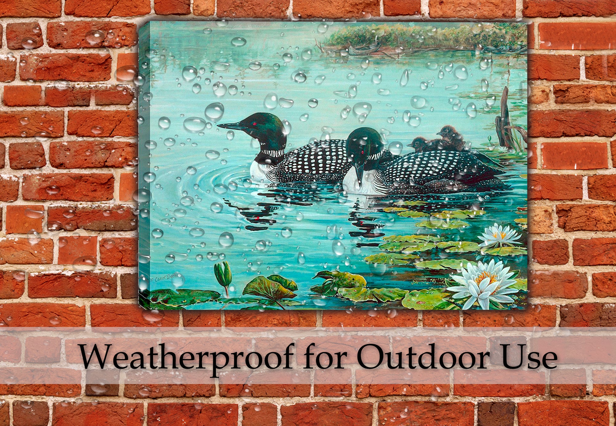 Painting of Loons and Lilies on a pond.  Printed on Waterproof Canvas.  Hanging on Brick Patio Wall in the Rain.
