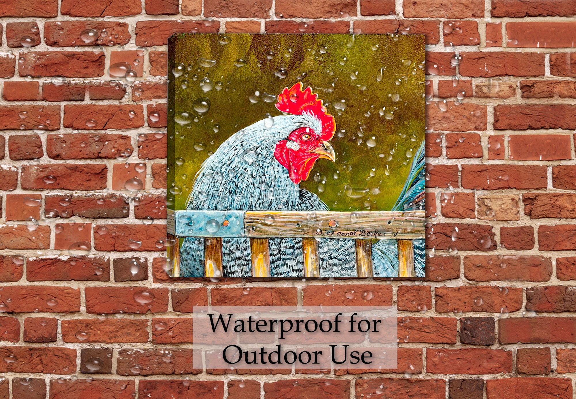 Rooster Painting printed on Waterproof Canvas Hanging on Brick Patio  Wall in the rain.