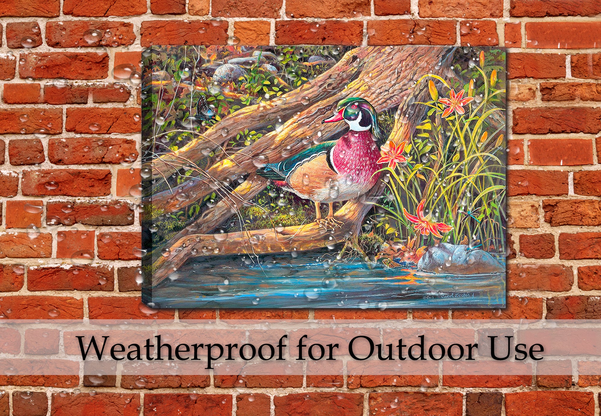 Streamside - a painting  by Carol Decker of a Wood Duck, Butterflies, dragonflies, and wild flowers. Printed on Canvas. Hung on Brick Patio  Wall in the Rain.  Printed on Outdoor Waterproof Canvas.