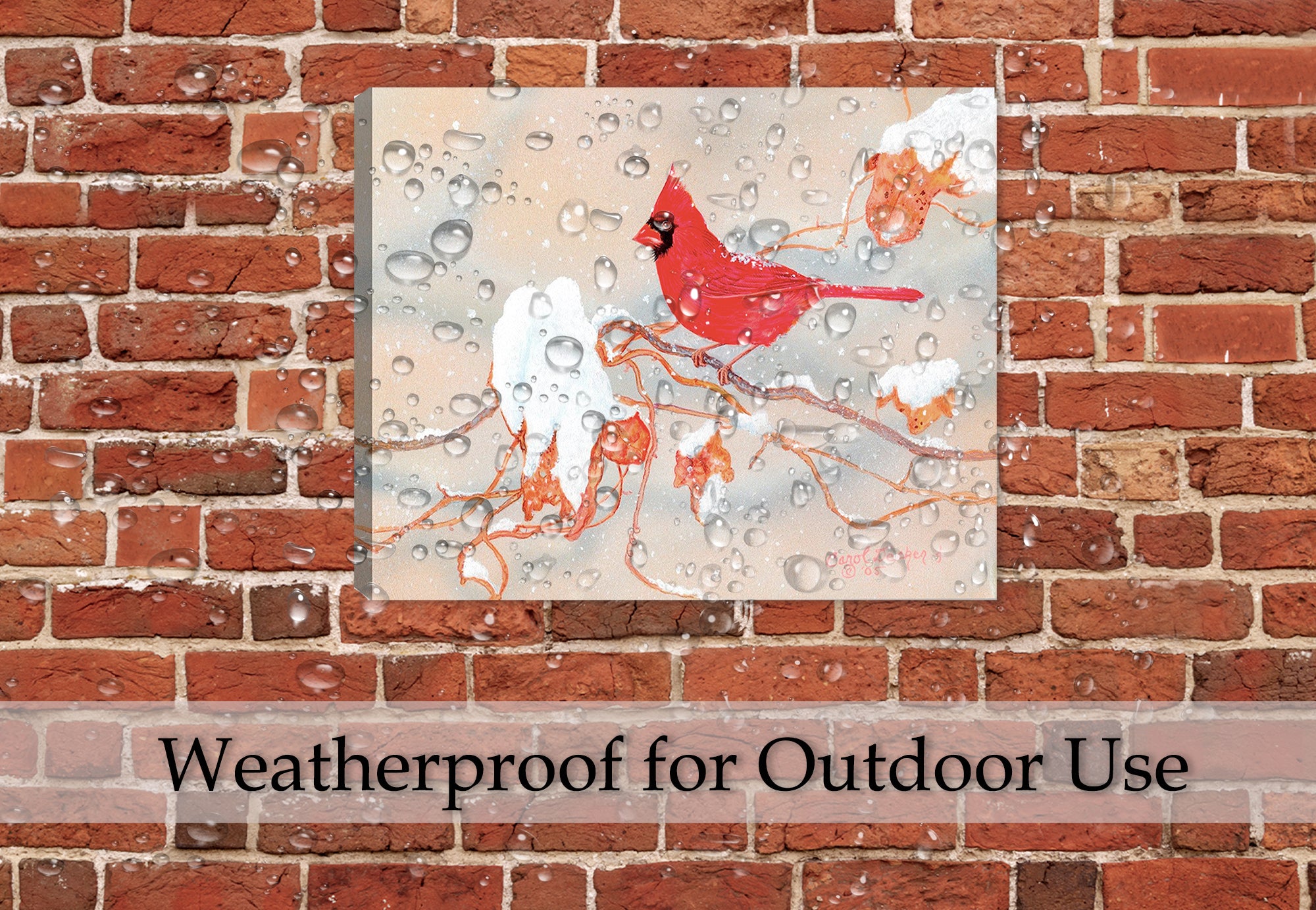 Painting of "Winter Beauty Cardinal" by Carol Decker - Printed on Waterproof Canvas - Hanging on Patio Brick Wall in the Rain.