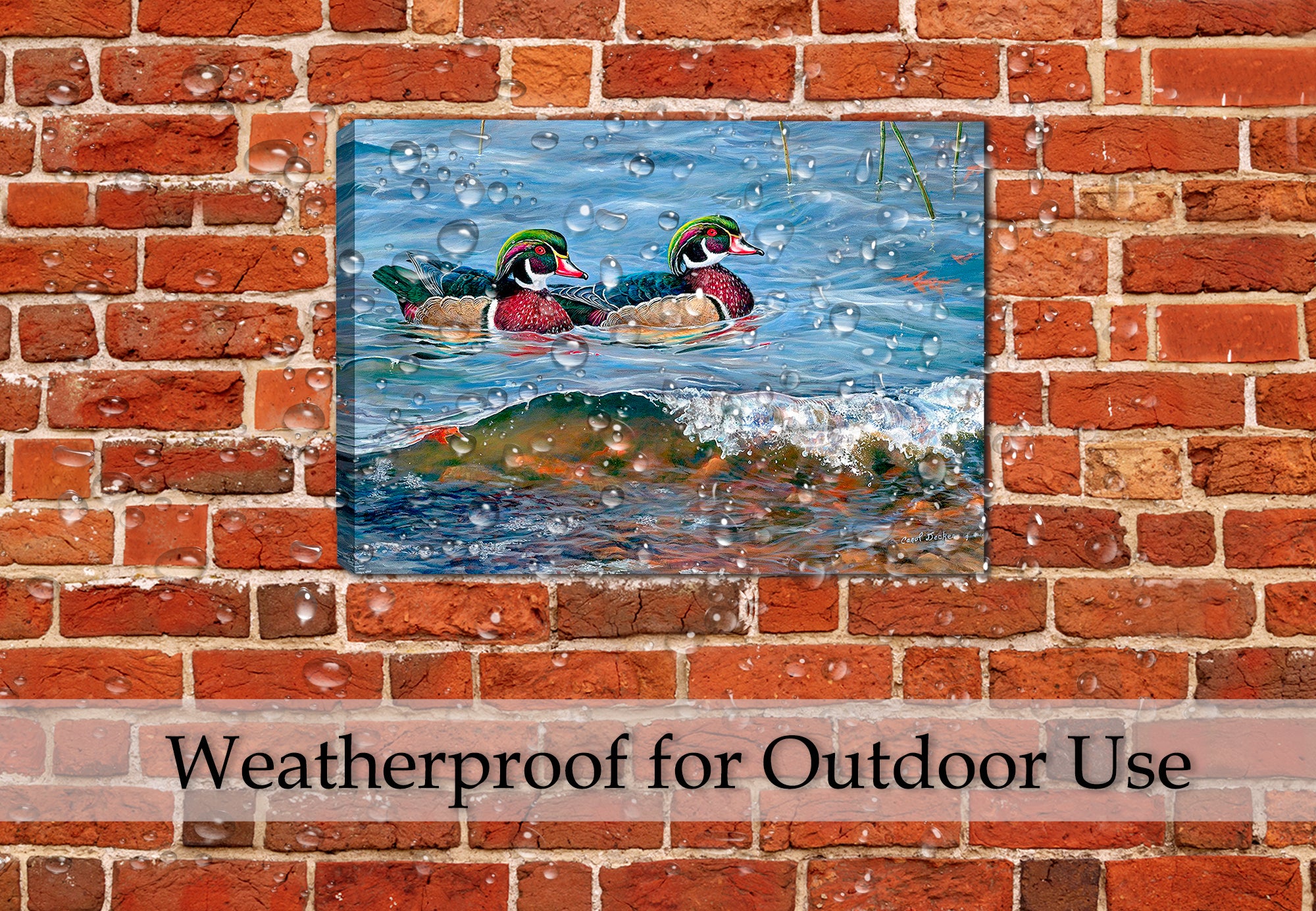 Painting of Wood Ducks swimming in Blue water - Printed on Waterproof Canvas. Hanging on Brick Patio Wall in the Rain.