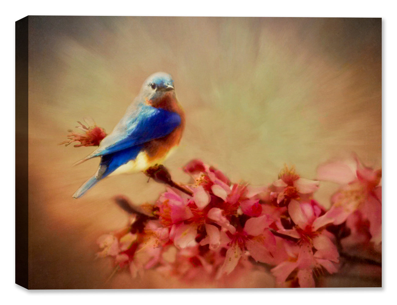 Cherry Blossom Bluebird Degas Dancers - Canvas Art