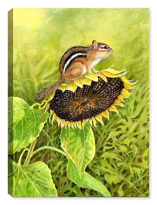 Chipmunk on Sunflower Painting by Carol Decker - Canvas Art Plus