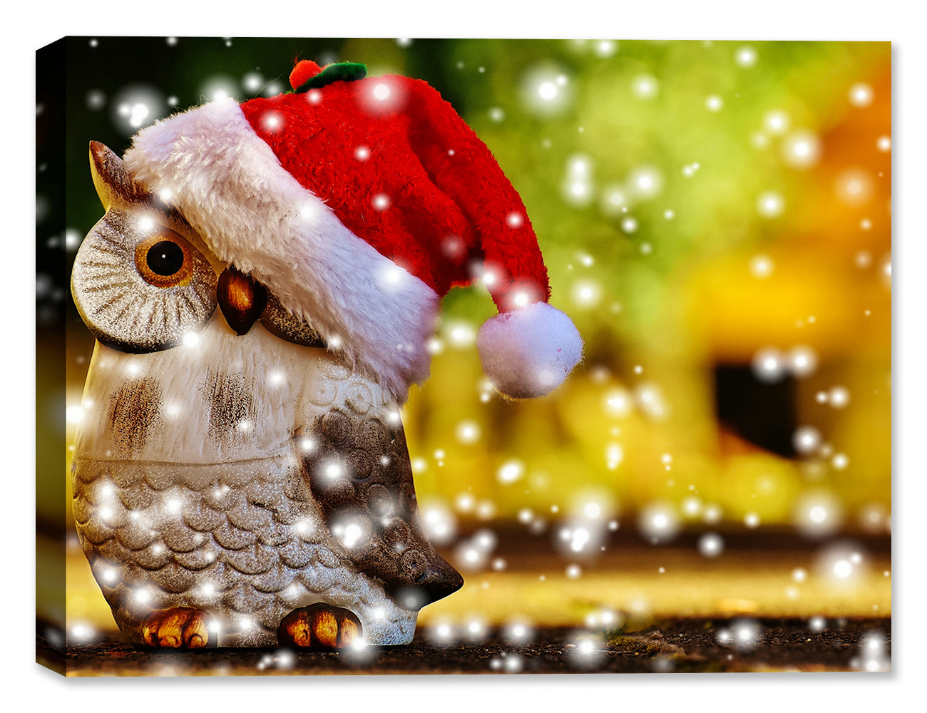 Christmas Owl with Snow - Canvas Art