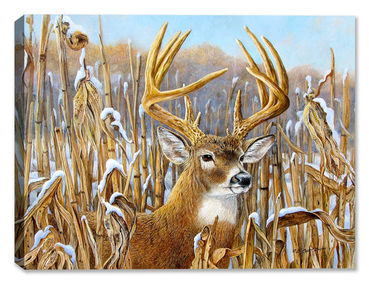 Crowning Glory - Buck in Field - Canvas Art Plus