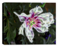 High Resolution Digital Image of a Flower.  Printed on Canvas.