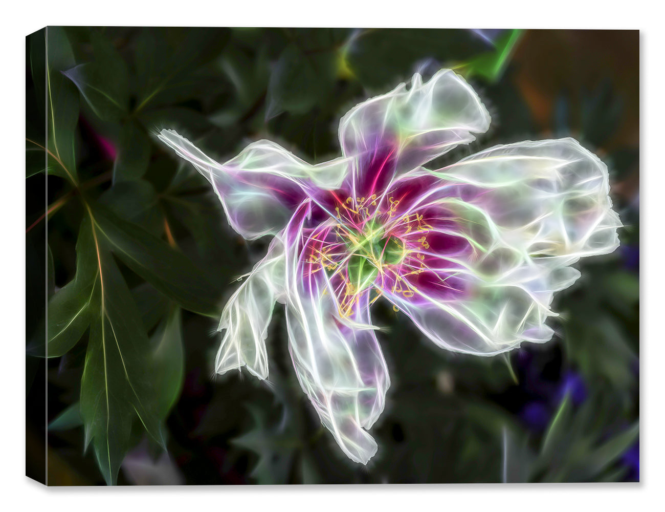 Multi Color Digital Flower #2 - Canvas Art